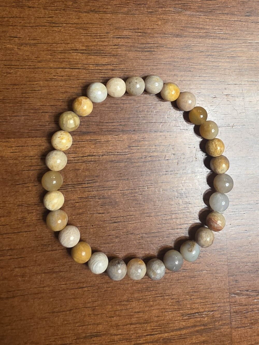 NEW Lake Michigan Coral & Petoskey Stone Bracelet Handmade 7" with 6mm beads